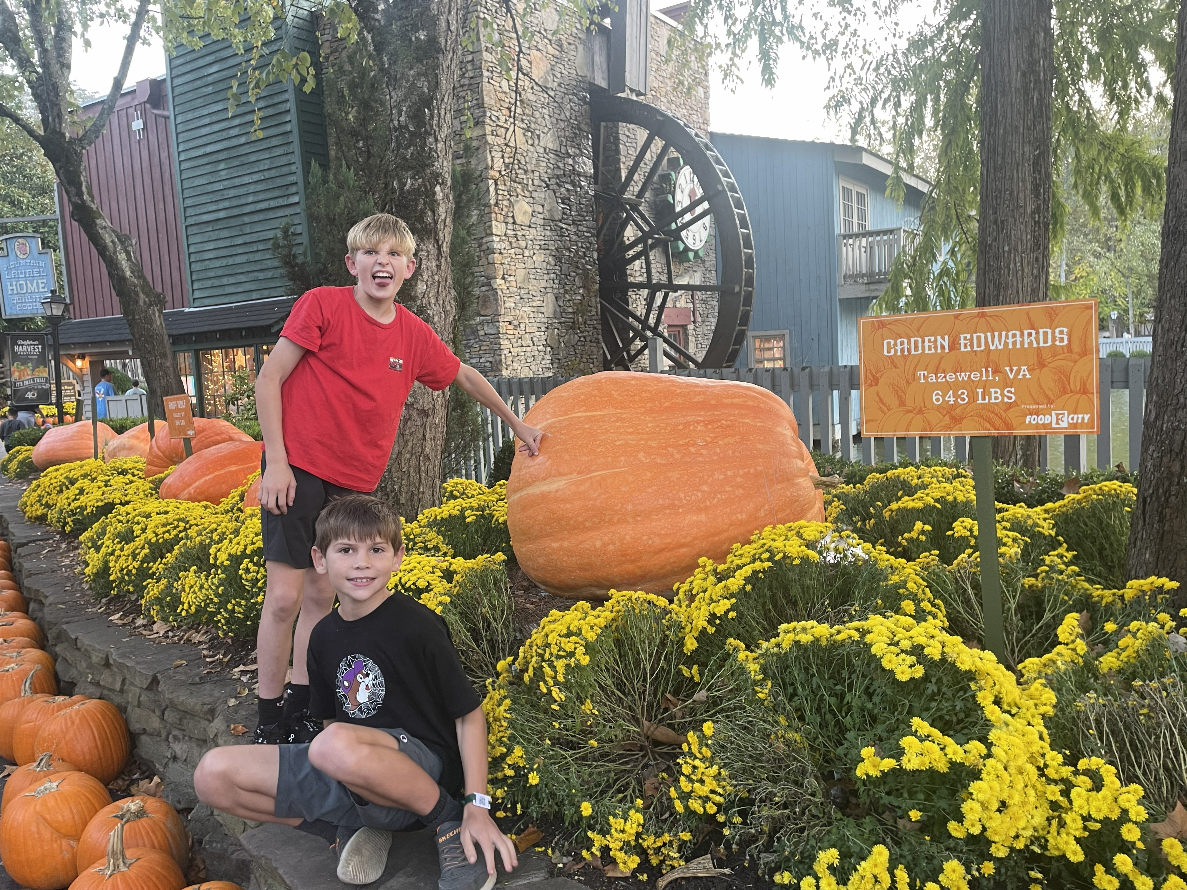 Dollywood Pumpkin Display 2